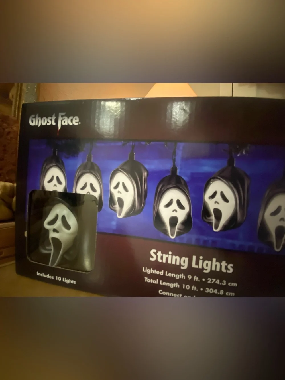 Spirit Halloween Ghost Face String Lights - White & Black